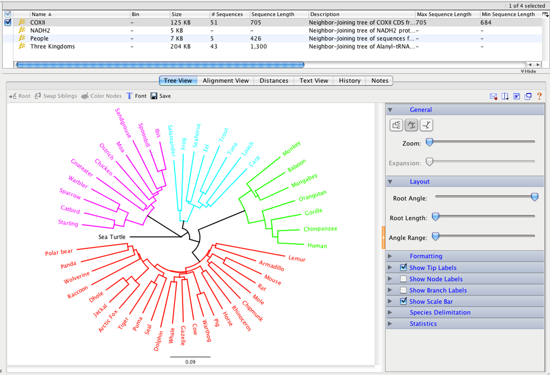 What is a phylogenetic tree maker?